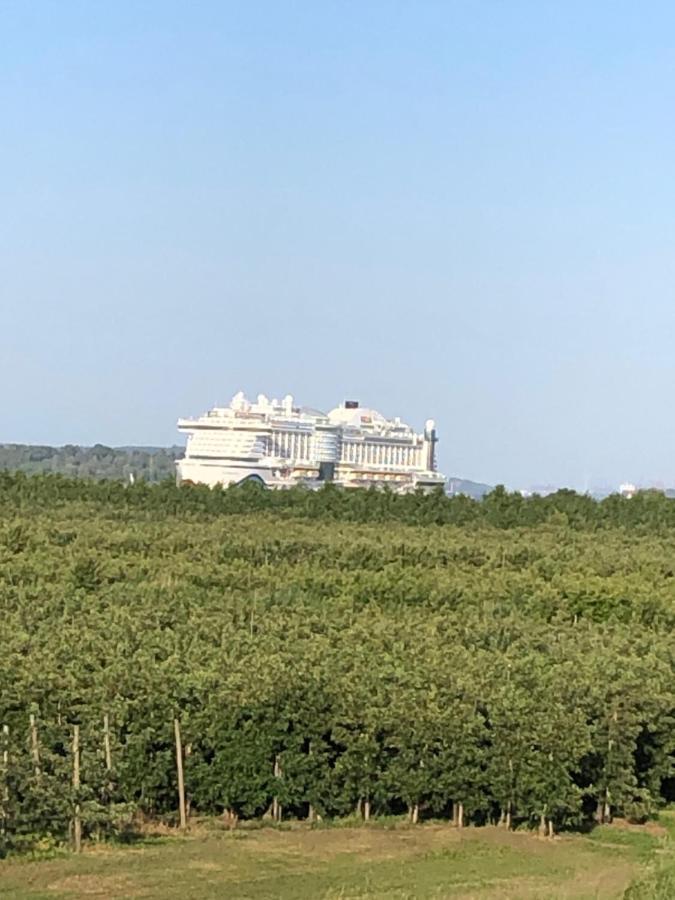 Wohnen Im Alten Land Grünendeich المظهر الخارجي الصورة