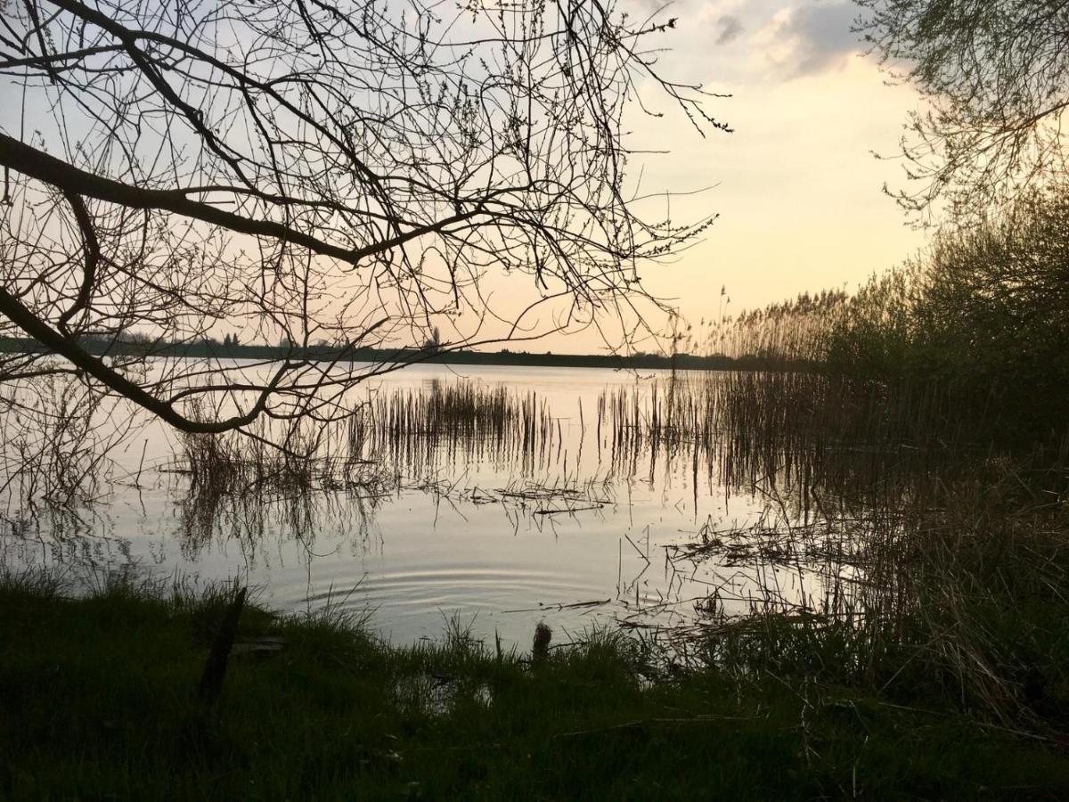 Wohnen Im Alten Land Grünendeich المظهر الخارجي الصورة